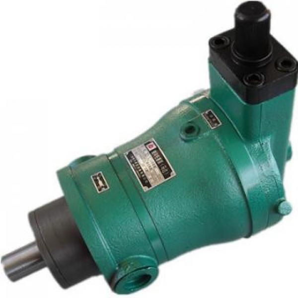 R909611255 A7VO80LRH1/61R-PZB01-S Pompe hydraulique d'origine #1 image